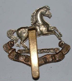 1903foreignservicebadge2JPG.JPG