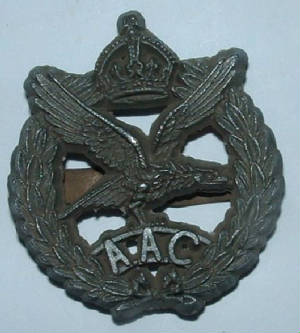 ARMYAIRCORPSPLCAPBADGE1.JPG