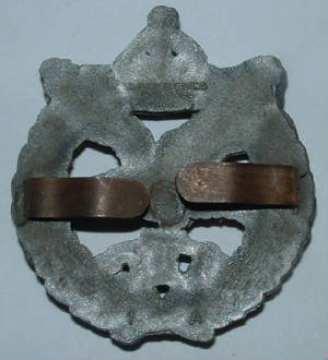 ARMYAIRCORPSPLCAPBADGE2JPG.JPG