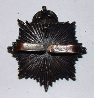 ARMYSERVICECORPSOFFICERSBzCAPBADGE2JPG.JPG