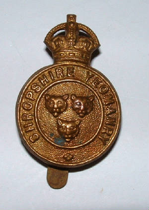 ASHROPSHIREYEOCAPBADGE1.JPG