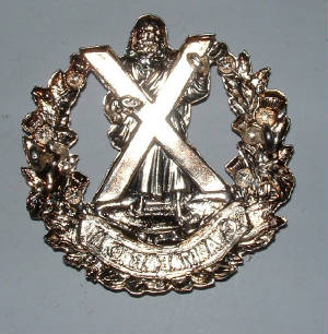 CAMERONOFFICERSSILPLATEGLENGARRYBADGE2JPG.JPG