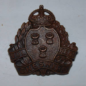 CHESHIREVTCVOLREGTWW1CAPBADGES1JPG.JPG