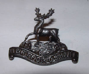 HERTFORDSHIREREGTRAREOFFICERSBzFSCAPBADGE1.JPG