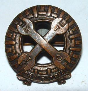 MTTCCAPBADGE1JPG.JPG