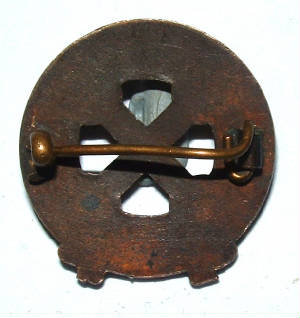 MTTCCAPBADGE2JPG.JPG