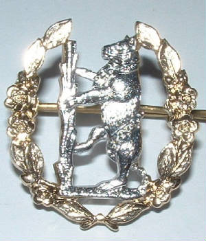 QOWARWICKSHIRWORCESTERSHIREYEOANODISEDBADGEJPG.JPG