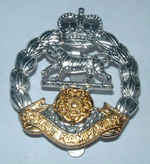 ROYALHAMPSHIREREGTCAPBADGE2JPG.JPG