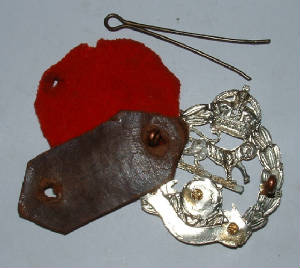 ROYALHAMPSHIREREGTCAPBADGE4JPG.JPG