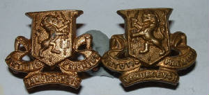 Irish Badges 1879-2010