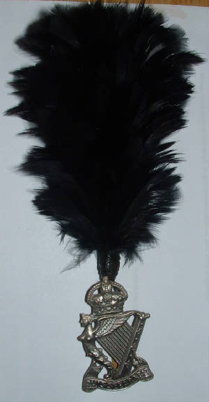 ROYALULSTERRIFLESWMCAPBADGEWITHHACKLE1JPG.JPG