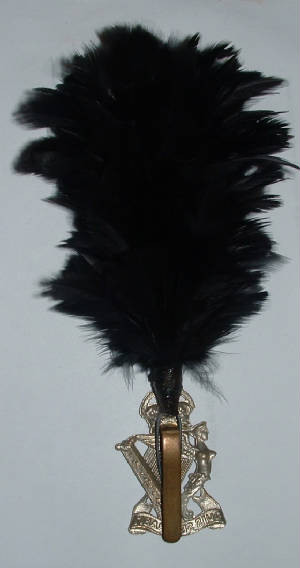 ROYALULSTERRIFLESWMCAPBADGEWITHHACKLE2JPG.JPG