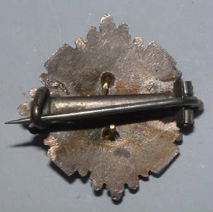 SCOTSGUARDSOFFICERSFSCAPBADGE2JPG.JPG