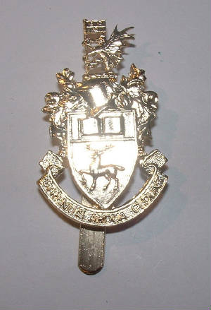 SOUTHAMPTONUNIVERSITYOTCANODISEDCAPBADGE1.JPG