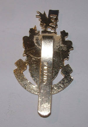 SOUTHAMPTONUNIVERSITYOTCANODISEDCAPBADGE2.JPG