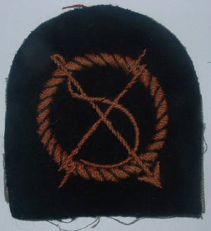 SUBMARINEDETECTOROPERATORARMBADGE1JPG.JPG