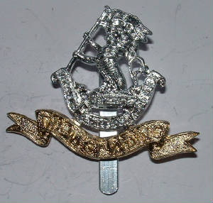 WESTRIDINGREGTANODISECAPBADGE7JPG.JPG
