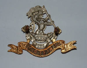 WESTRIDINGREGTLUGGEDCAPBADGE2JPG.JPG