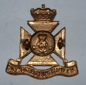 WILTSHIREREGTLUGGEDCAPBADGE2JPG.JPG