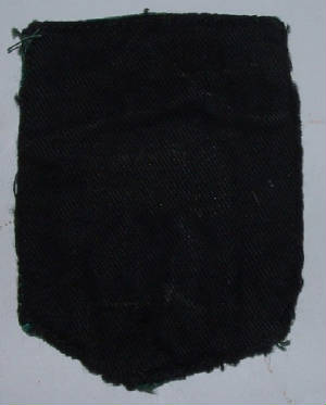 WW1WomensLandArmyGoodServiceribbonawardbadge2JPG.JPG