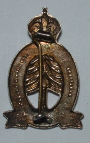 WW2WomensLandArmyTimberCorpssilverplatedofficialbadge2JPG.JPG