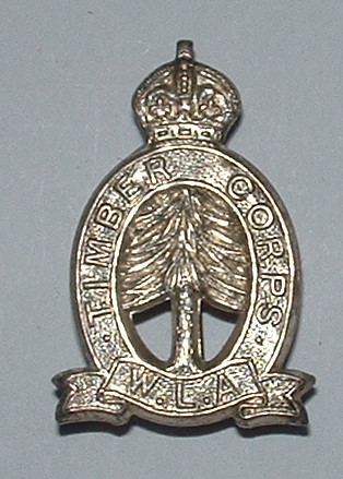 WW2WomensLandArmyTimberCorpssilverplatedofficialbadge1JPG.JPG